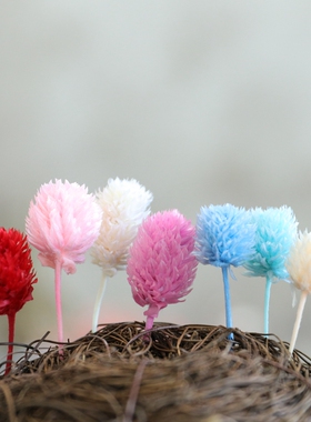 等花来永生花03454大地农园千日红材料包diy国产草莓果配材花头