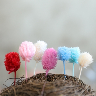 等花来永生花03454大地农园千日红材料包diy国产草莓果配材花头