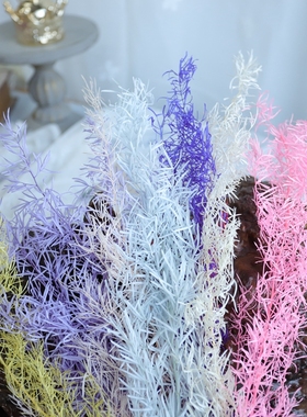 等花来永生花diy原材料进口大地农园丝绒草01080保鲜花天门冬多色