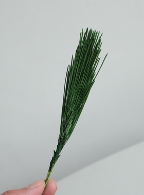 等花来进口大地农园福若松03331/00032/03340圣诞节diy永生花松针