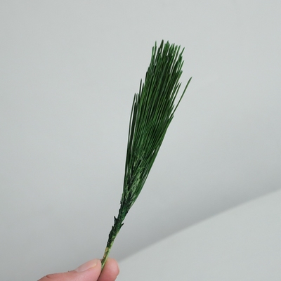 等花来永生花福若松圣诞节礼物