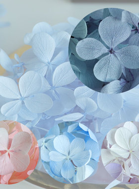 等花来diy材料包小份玻璃罩原材料亚特兰蒂斯梦幻木绣球永生花