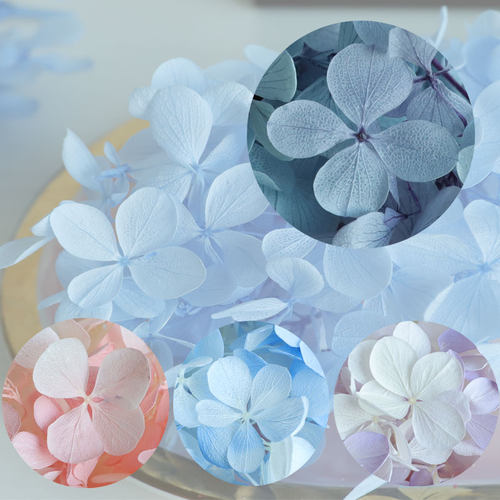 等花来diy材料包小份玻璃罩原材料亚特兰蒂斯梦幻木绣球永生花