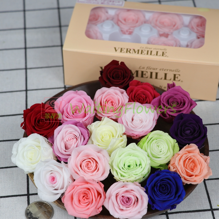 vermeille进口双色保鲜花