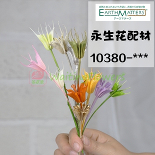 永生花10380开心花进口大地农园八角芝麻花星星花diy手工品配材