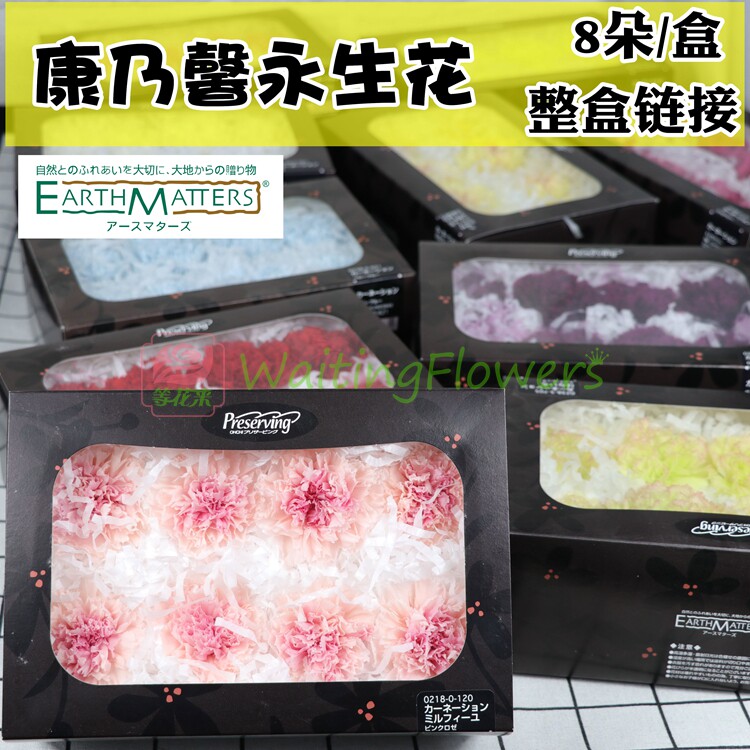 进口康乃馨永生花母亲节爱意表达图片