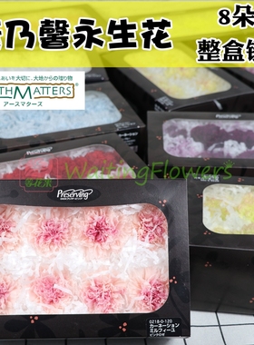 进口8朵装02380 02180 02383大地农园母亲节diy4-5cm康乃馨永生花