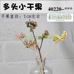 大地农园多头干果土茯苓天竹莓40220永生花22214圣诞22580原材料