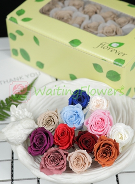 florever车挂花环材料包diyFL041/050进口2-3cm永生花小玫瑰