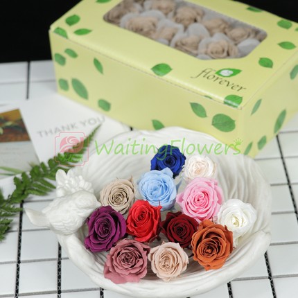 florever车挂花环材料包diyFL041/050进口2-3cm永生花小玫瑰