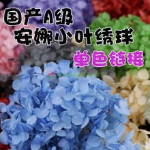 等花来国产小份4g装diy材料包玻璃罩礼盒打底永生花安娜小叶绣球