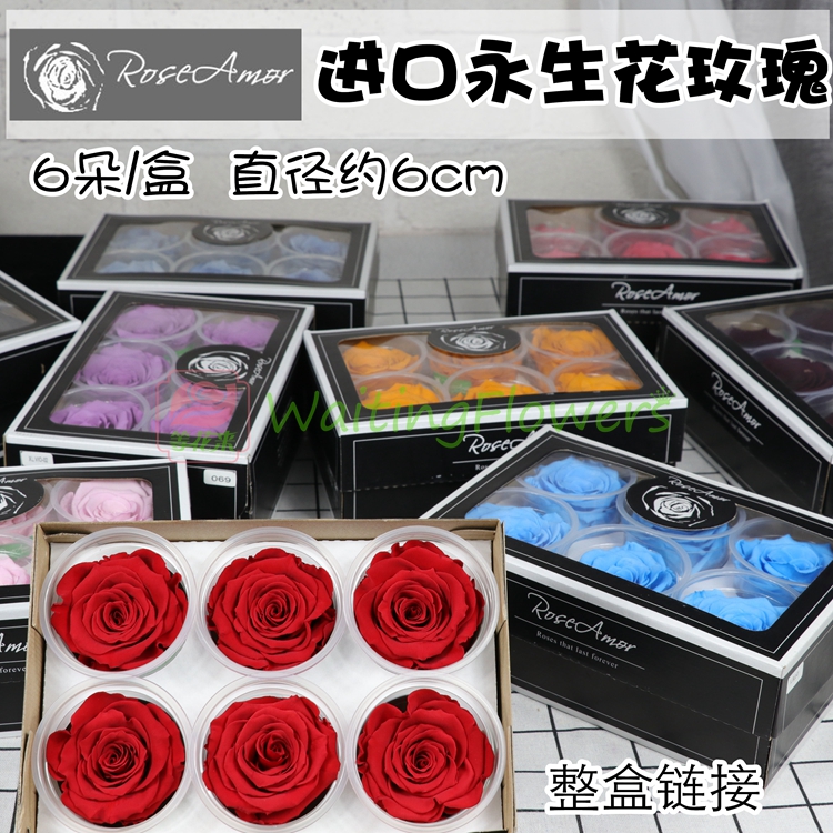 进口roseamor6朵装保鲜花d...