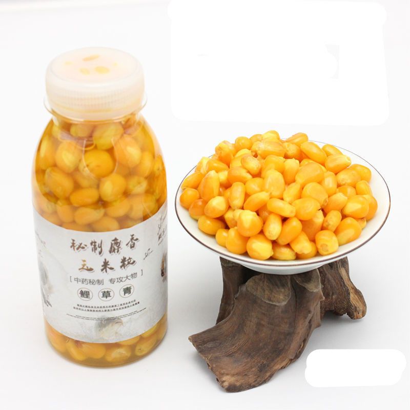 秘制麝香野钓挂钩鲤鱼颗粒草饵料