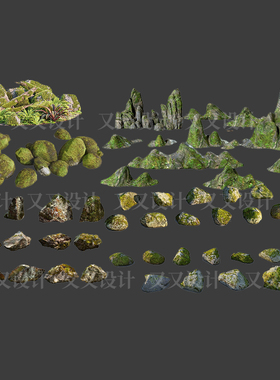园林景观耐阴植物蕨类苔藓矾根苔藓花镜地被ps素材psd效果图D1207