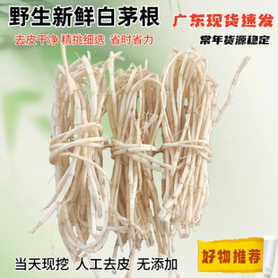 新鲜野生白茅根广东凉茶原料现挖现发去皮干净茅草根下火清热