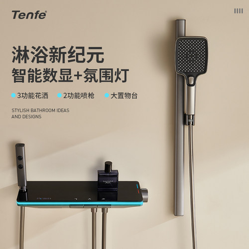 鼎菲简装冷热花洒大置物台数显