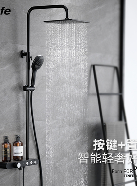 鼎菲 全铜恒温淋浴花洒明装黑色浴室家用增压淋雨喷头套装挂墙式
