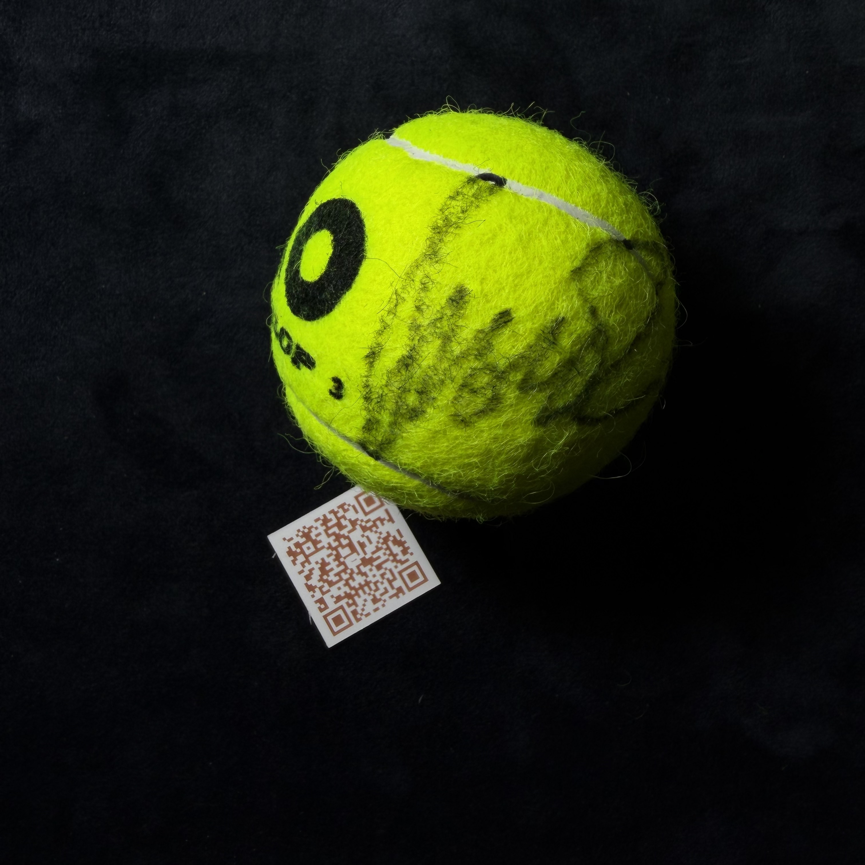 伊莲娜 莱巴金娜 Elena Rybakina 亲笔签名网球 实物拍摄 送锦盒