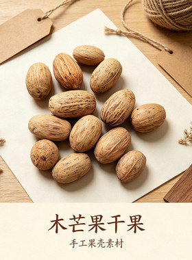 【木芒果】进口天然植物果实干果手工diy材料幼儿环创香薰标本ins