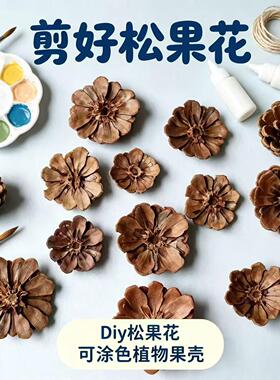 已剪好松果花干松花节日装饰品幼儿园手工环创材料DIY去头松果