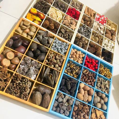 100多种果壳干花树枝环创森系diy