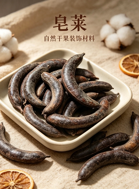 【皂荚果】月亮豆腊肠狗豆荚diy材料幼儿园手工果实创意花环相框