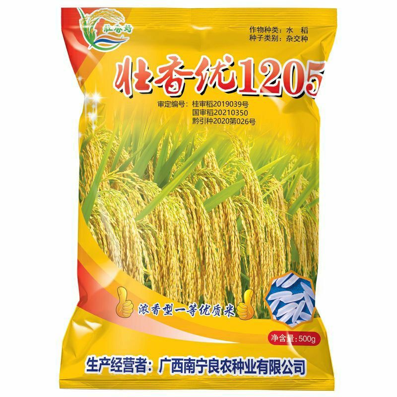 壮香优1205杂交稻一级米饭好蔬菜种子/种苗