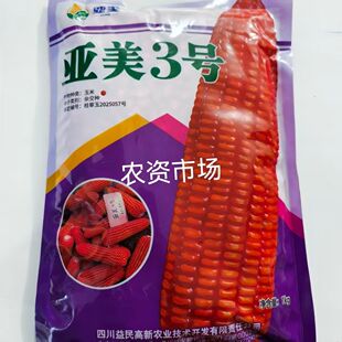 亚美3号杂交饲料玉米种子 穗轴白 抗病能力强抗倒伏 高产