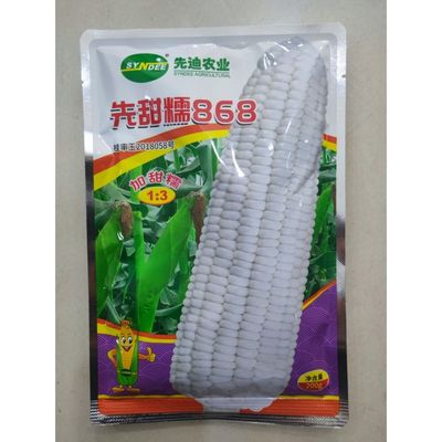 先迪农业  先甜糯868甜糯玉米种春秋播玉米种子子