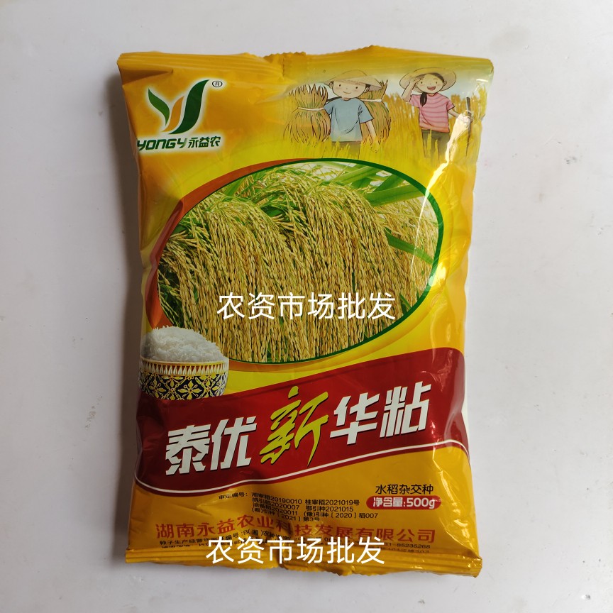泰优新华粘杂交水稻种子 优质稻谷种高档优质香米抗倒高产500克