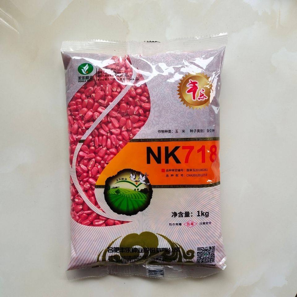 丰乐nk718玉米种子高产大田高产抗旱抗病抗倒南北方苞谷米双胞胎