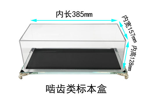 啮齿类有机玻璃标本盒