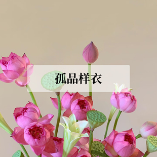 打版样衣+全新断码 大码胖mm每周更新款式 连衣裙/旗袍