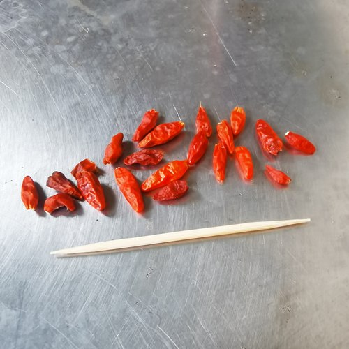 海南小米辣  小雀椒   鸟眼椒 多年生老柱树品种 5粒干红果种子