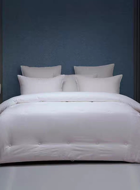 梦洁家纺2022新款长绒棉防螨双宫蚕丝被厚二合一被00587小雨点 II