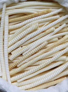 鲨鱼龙骨脊骨沙鱼骨补钙煲汤