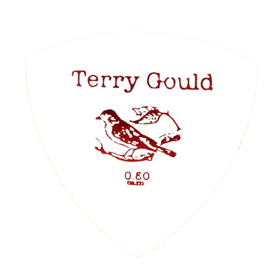 pickboyTerryGould吉他拨片