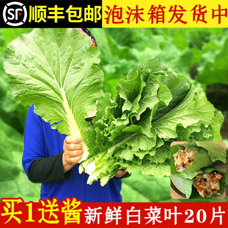 打饭包菜叶新鲜大白菜叶子东北菜叶包饭农家蘸酱蔬菜即食20叶送酱 水产肉类/新鲜蔬果/熟食 叶菜类 原图主图