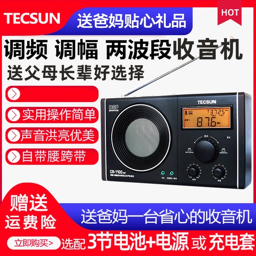 Tecsun de Sheng CR-1100DSP Полупроизводство
