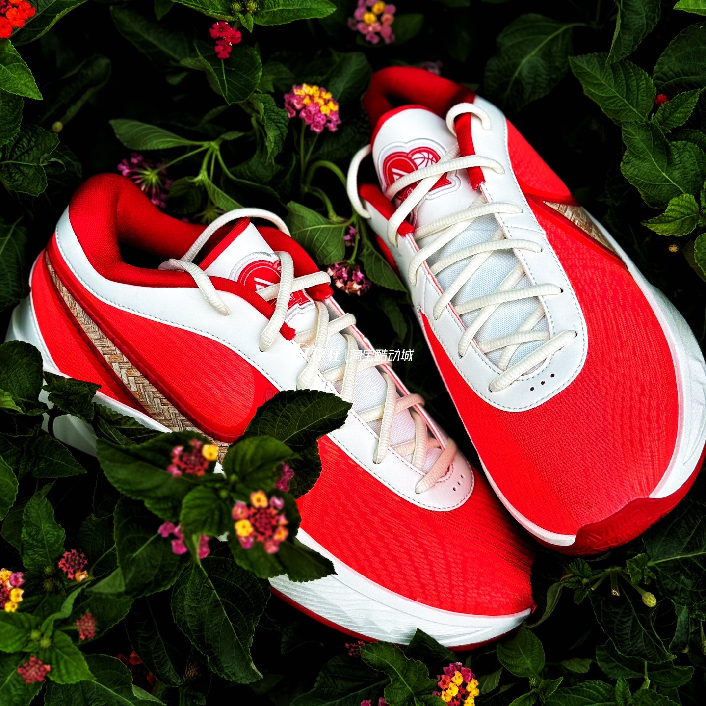 Nike/耐克Giannis Freak 6 字母哥实战低帮篮球鞋 HQ4079 HM4216