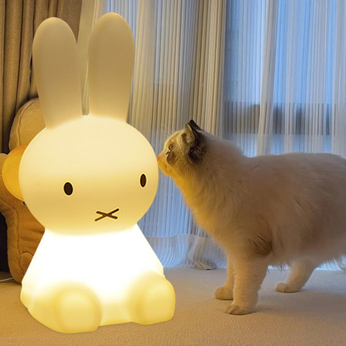 兔子小夜灯ins儿童房卧室睡眠床头灯卡通可爱装饰台灯氛围落地灯