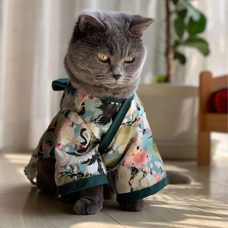 粉嫩櫻花和服貓柴犬狗狗博美中型