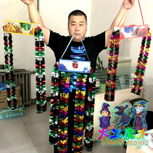 大卫儿童魔术道具纸袋花箱花类魔术道具空袋出花箱空箱出花魔术箱