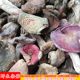 野生食用菌杂菇红菇青头菇白菇牛肝菌干货干菌子野生菌子食材