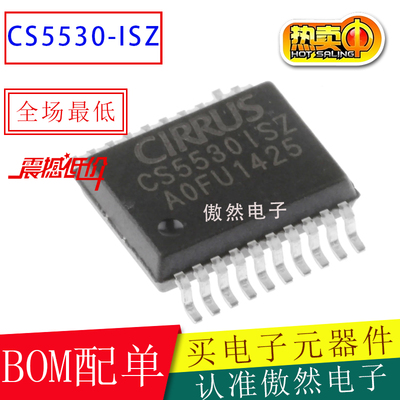 CS5530-ISZ芯片放大器