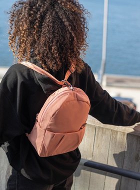 Pacsafe多用途转换双肩包背包斜挎包防盗包出国旅游欧洲英国法国