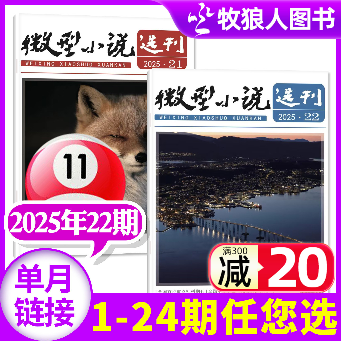 微型小说选刊2025年11月/26订阅