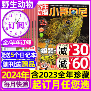 半年订阅 送5个日记本 12月 小哥白尼野生动物杂志2024 带赠品 2023年1 15岁儿童青少年科普2022过刊 全年 5月现货