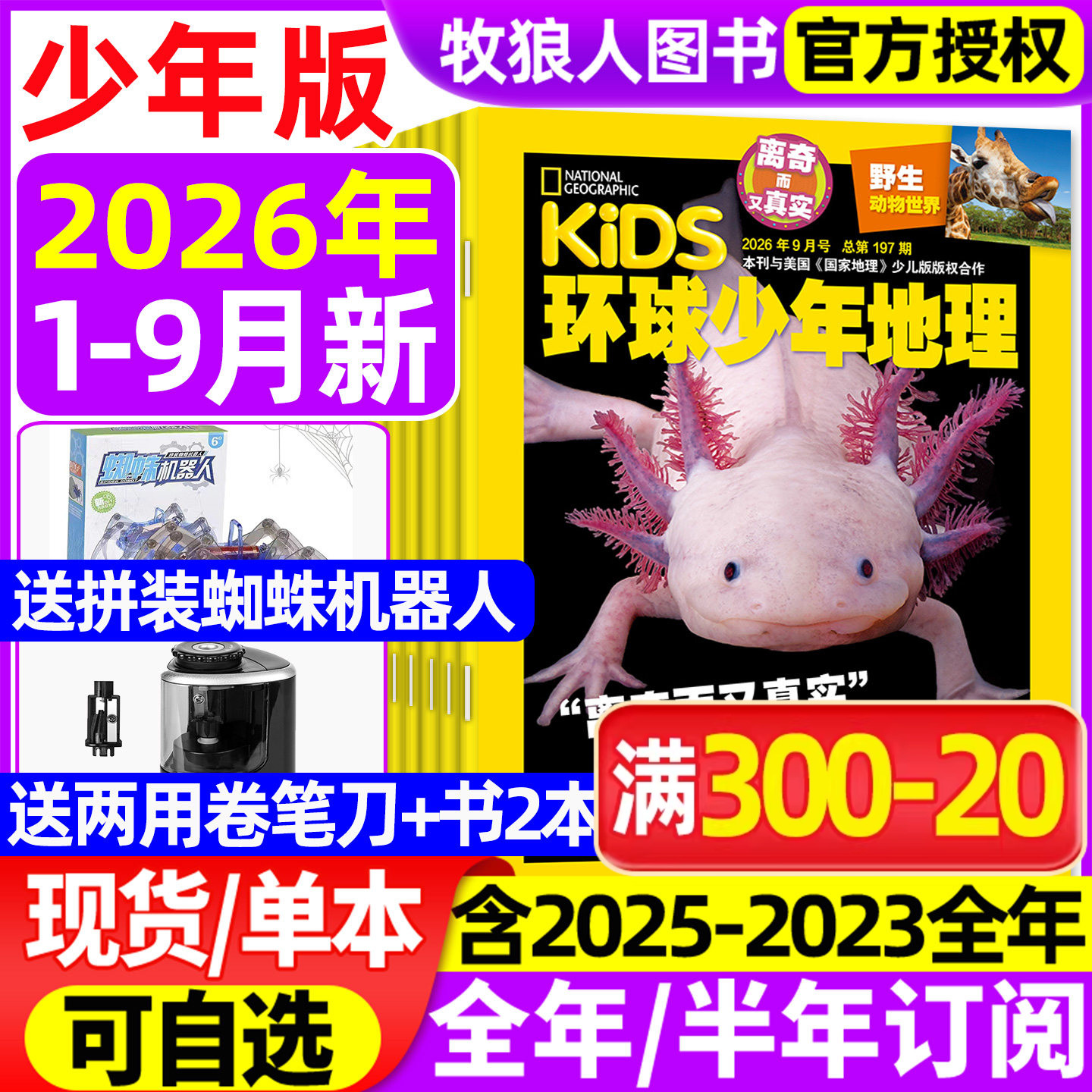 环球少年地理杂志少年版2026年1-9月【2025年/全年/半年订阅/2024/2023全年】kids美国国家地理少儿版小学生科学发现科普过期刊