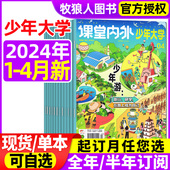 全年 4月 半年订阅 16岁初高中学生考试志愿规划兴趣探索青少年生活职业生涯规划过期刊 少年大学杂志2024年1 大学城8 2023年